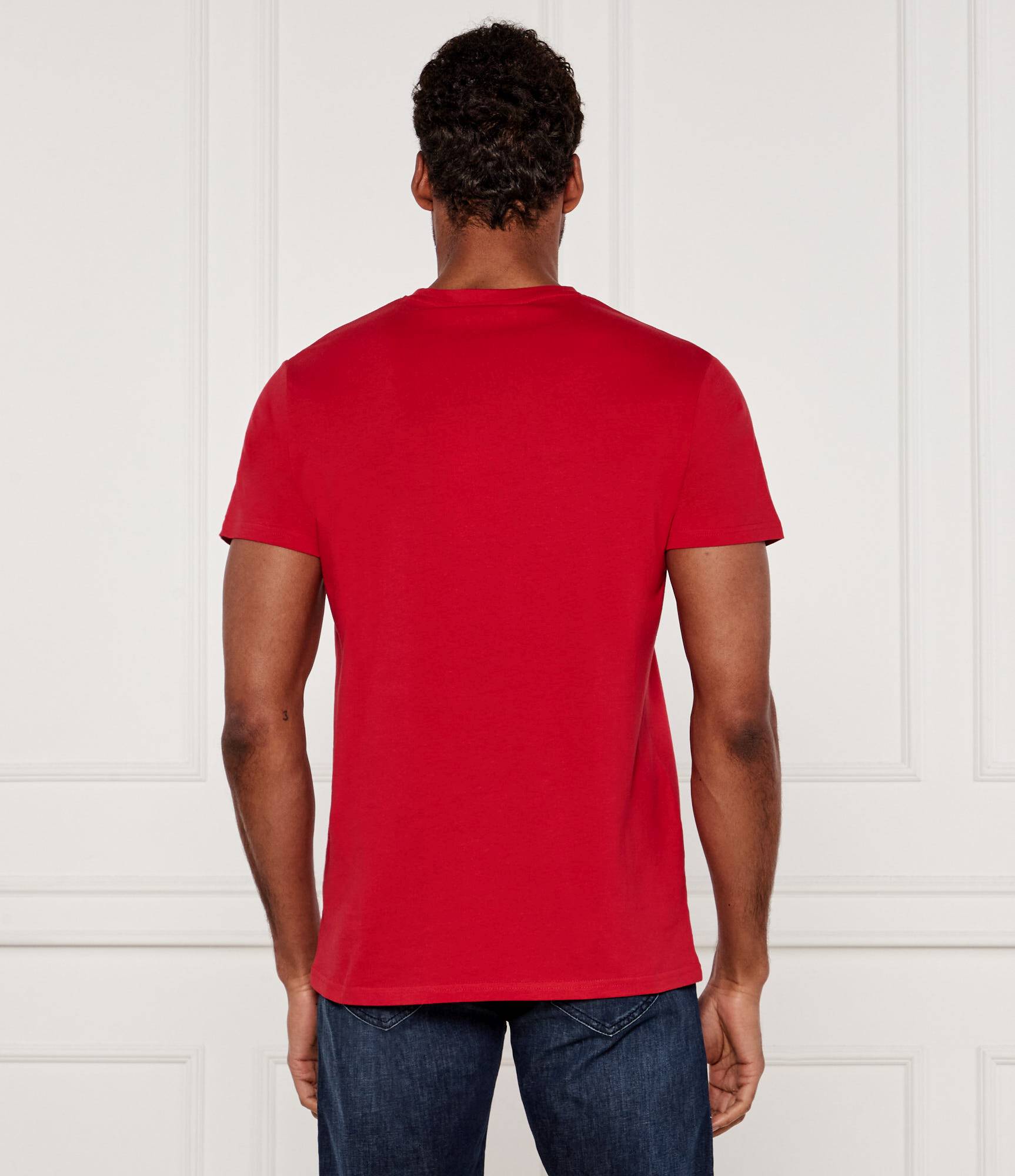 T-Shirt Iceberg Pet